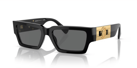 Versace 0VE 4459 GB1/87 54 Unisex Sunglasses
