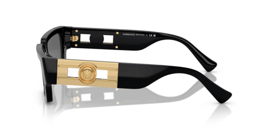 Versace 0VE 4459 GB1/87 54 Unisex Sunglasses