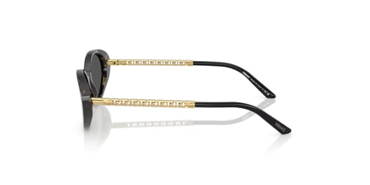 Versace 0VE 4469 5470/87 54 Women Sunglasses