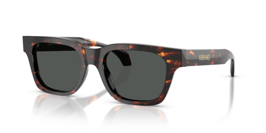 Versace 0VE 4486 5509/87 52 Erkek Güneş Gözlüğü