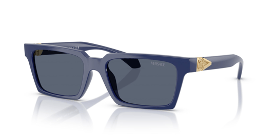 Versace 0VE 4490-U 5450/87 55 Erkek Güneş Gözlüğü