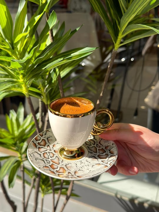 6 Kişilik Porselen Elysıon Kahve Fincanı 
