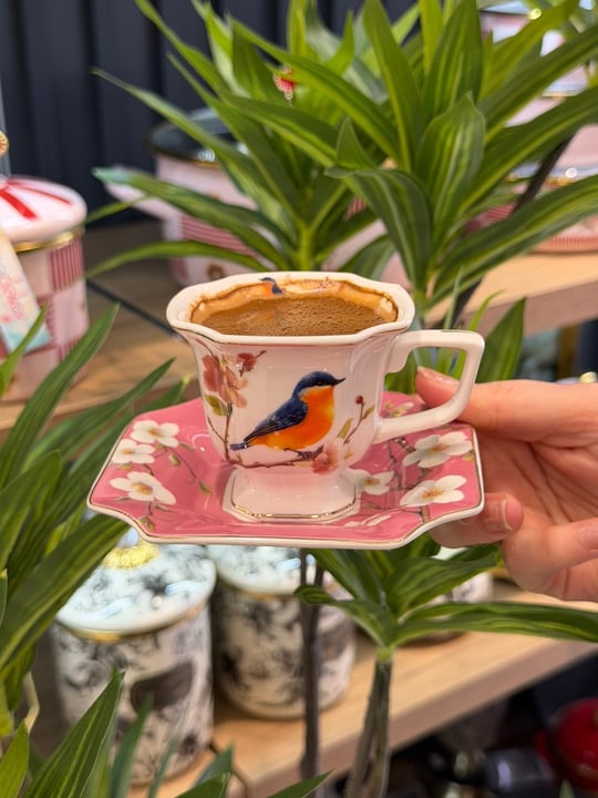 6 Kişilik Porselen Lavin Bird Pink Kahve Fincanı 