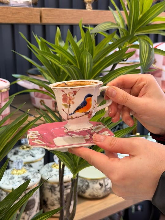 6 Kişilik Porselen Lavin Bird Pink Kahve Fincanı 