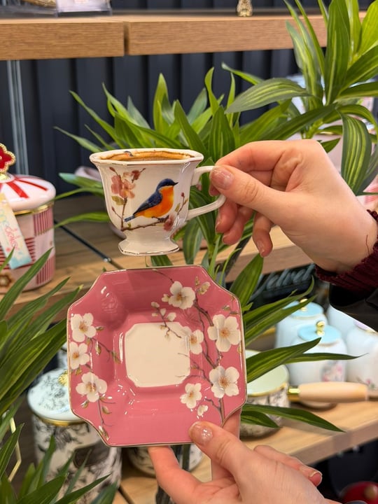 6 Kişilik Porselen Lavin Bird Pink Kahve Fincanı 