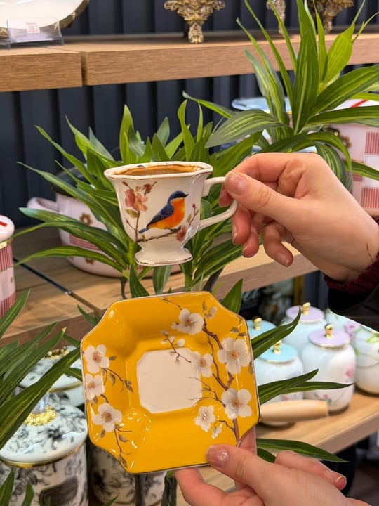 6 Kişilik Porselen Lavin Bird Yellow Kahve Fincanı 