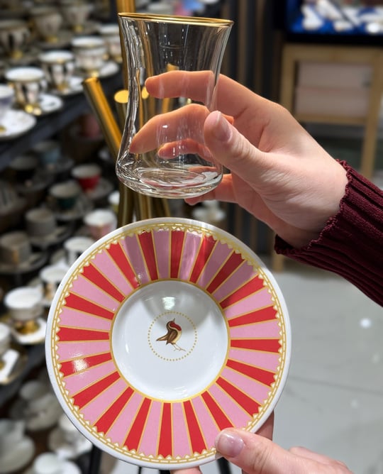 6lı Pink Bird Çay Takımı Seti