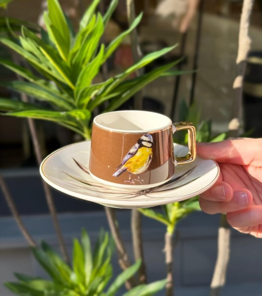 6lı Porselen Kahve Fincanı Bird Brown