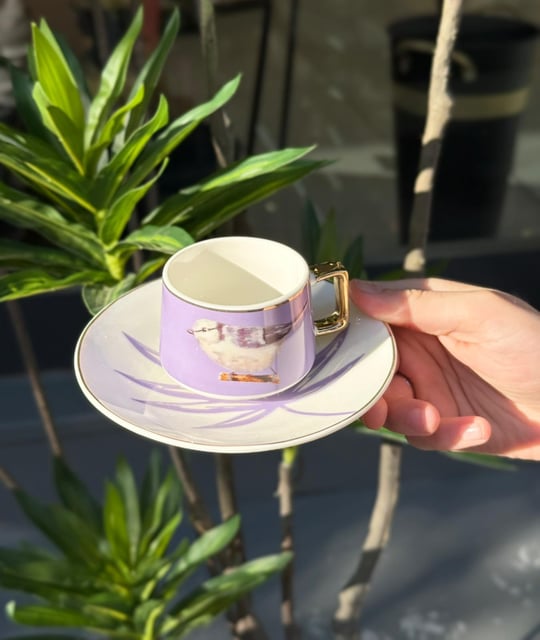 6lı Porselen Kahve Fincanı Bird Purple 