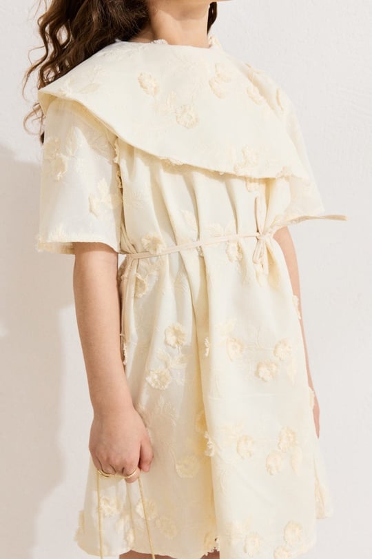 Brode Yaka Detaylı Elbise - Butter Yellow