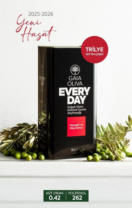 Everyday Trilye 5 lt Natürel Sızma Zeytinyağı (Yeni Hasat)
