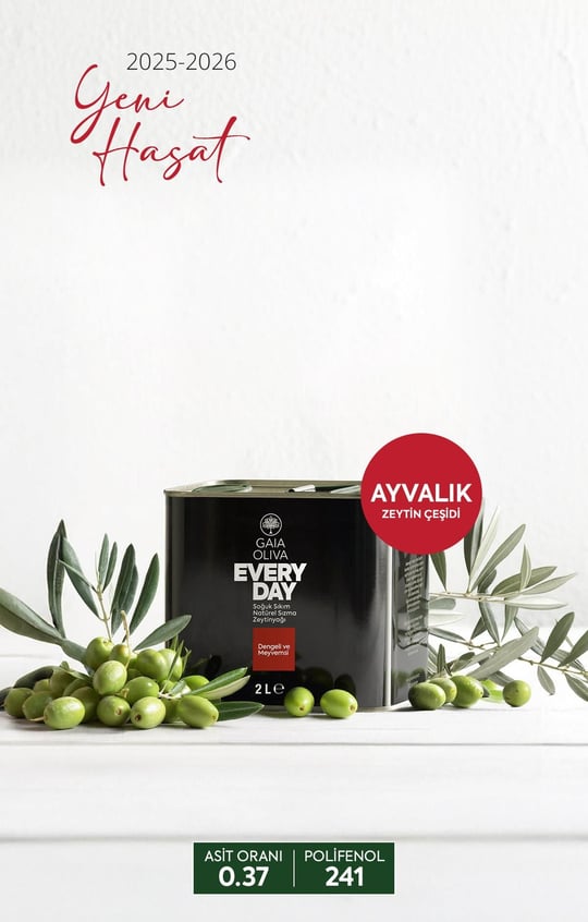 Everyday Ayvalık 2 lt Natürel Sızma Zeytinyağı (Yeni Hasat)