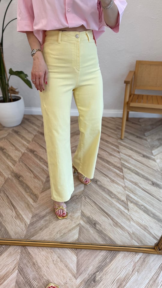 SARI 161 FLARE JEAN 