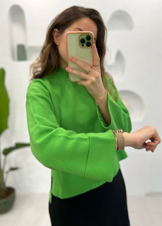 ELMA YEŞİLİ