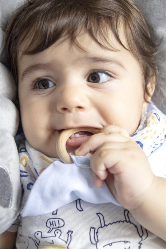Babyjem Ahşap Dişlikli Müslin Önlük Renkli Halkalar Art-678