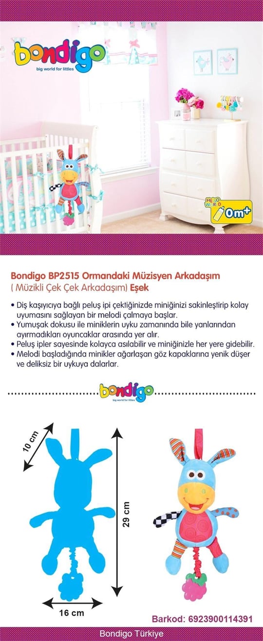 Bondigo Ormandaki Müzisyen Arkadaşım Eşek 2515