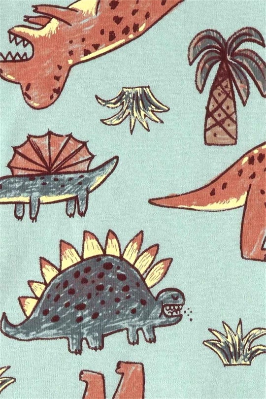 Carter's Erkek Bebek Baskılı 4'lü Pijama Takımı Yeşil 1U596810