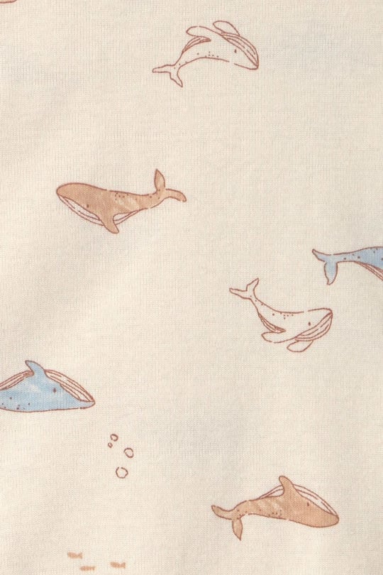 Carter's Erkek Bebek Layette 3'lü Body Pantolon Takım Mavi 1V252610