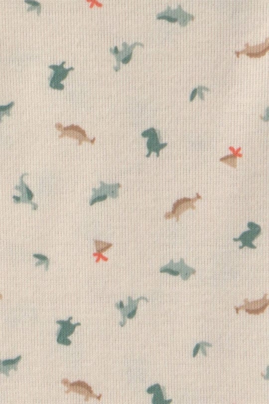 Carter's Erkek Bebek Layette 3'lü Ceket Alt Takım Yeşil 1V439410