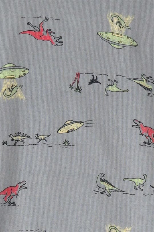 Carter's Erkek Çocuk 4'lü Pijama Takımı Gri 3U595110