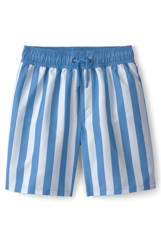Carter's Erkek Çocuk Çizgili Şort Mayo Mavi 3U611110