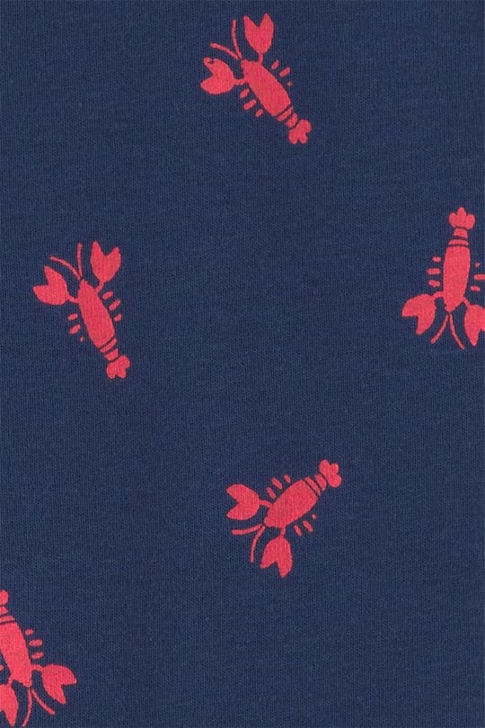 Carter's Erkek Çocuk Patikli Uyku Tulumu Lacivert 2U624510
