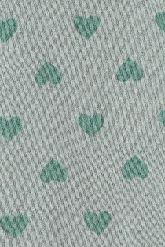 Carter's Kız Bebek Layette 4'lü Uzun Kollu Zıbın Set Renkli 1V717510