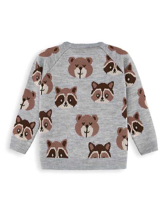 Denokids Erkek Çocuk Ayı Rakun Triko Kazak Gri CFF-25S1-065