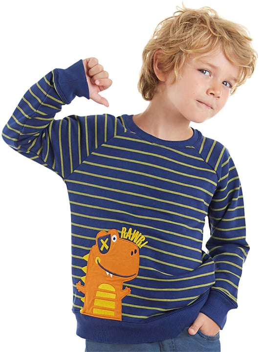 Denokids Erkek Çocuk Dino Çizgili Sweatshirt Lacivert CFF-23S1-037