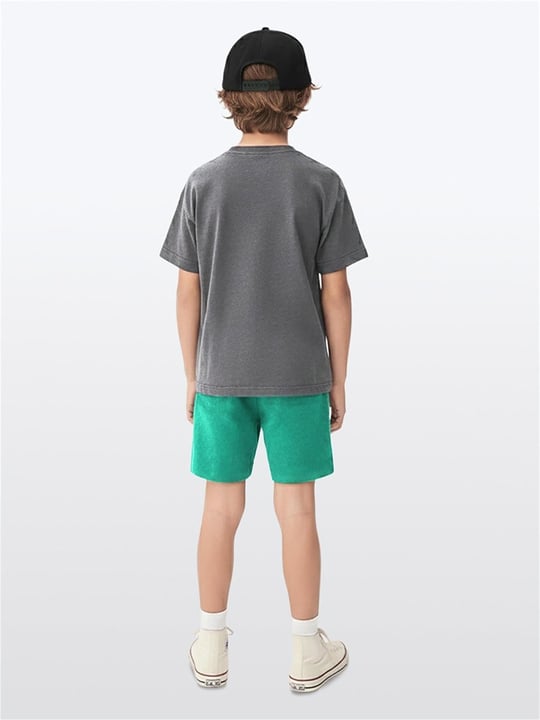 Denokids Erkek Çocuk Dino Spray Tişört Şort Takım CFF-26Y1-045