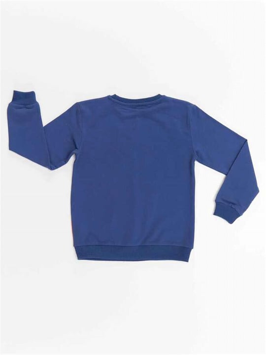 Denokids Erkek Çocuk Dino ve Tiger Sweatshirt Lacivert CFF-22K1-023