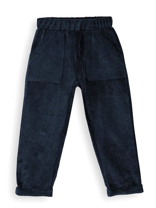 Denokids Erkek Çocuk Fitilli Kadife Pantolon Lacivert CFF-25S1-049