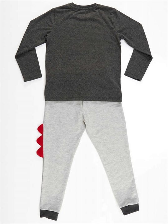 Denokids Erkek Çocuk  Monster Race T-shirt Pantolon Takım CFF-21S1-065