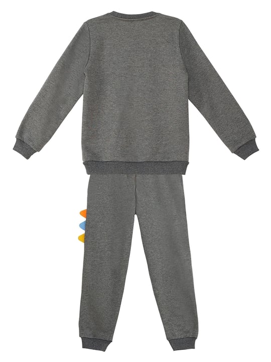 Denokids Erkek Çocuk Rawr Tırtırlı Eşofman Altı Takım Gri CFF-23S1-061