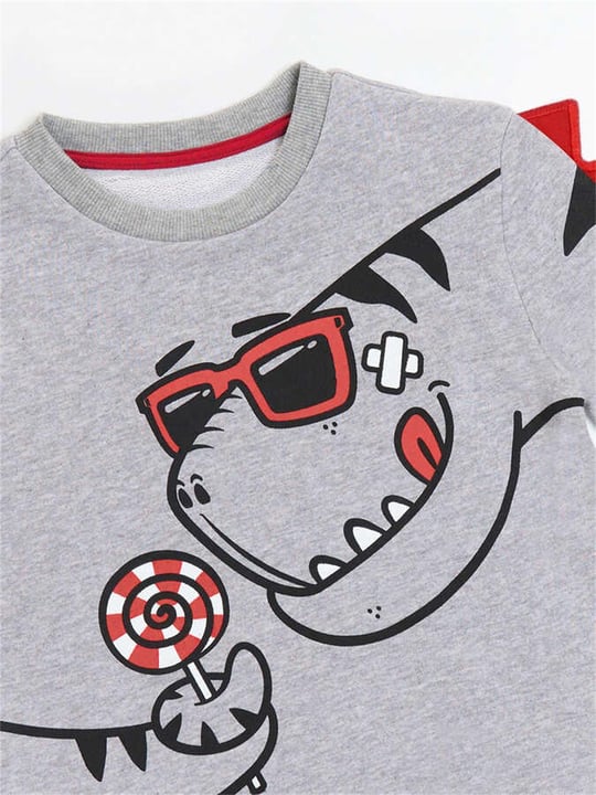 Denokids Erkek Çocuk Şekerci Dinozor Sweatshirt Gri CFF-22S1-097
