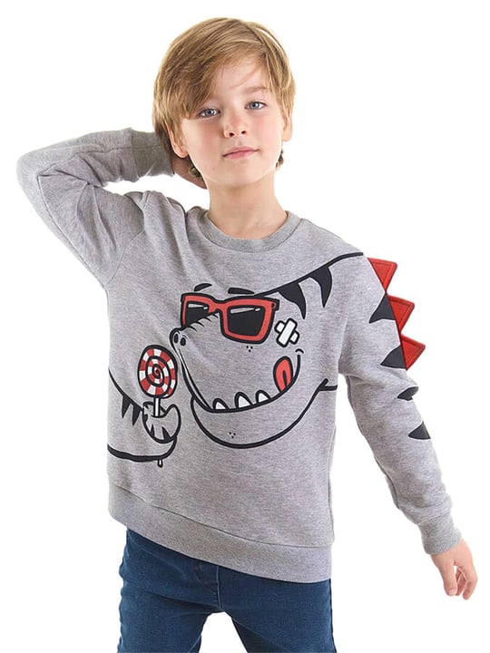 Denokids Erkek Çocuk Şekerci Dinozor Sweatshirt Gri CFF-22S1-097