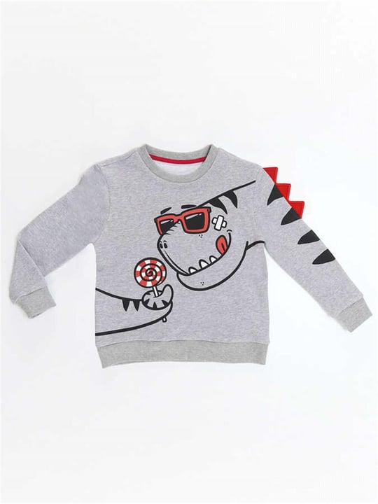 Denokids Erkek Çocuk Şekerci Dinozor Sweatshirt Gri CFF-22S1-097