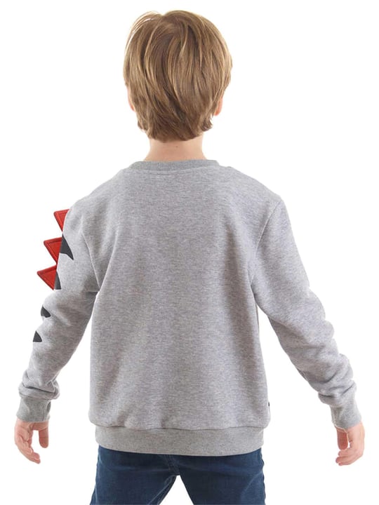 Denokids Erkek Çocuk Şekerci Dinozor Sweatshirt Gri CFF-22S1-097