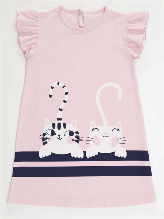 Denokids Kız Çocuk Çizgili Dostlar Elbise Pembe CFF-22Y1-031
