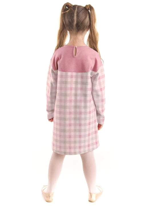 Denokids Kız Çocuk Kalpli Kedi Ekose Elbise Pembe CFF-22S1-075