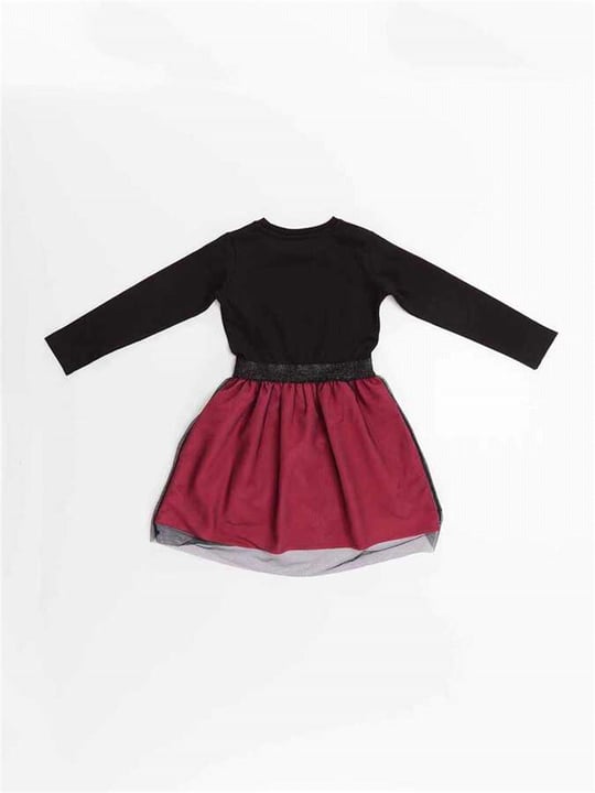 Denokids Kız Çocuk Rock Babe Tüllü Elbise MS-22K1-022