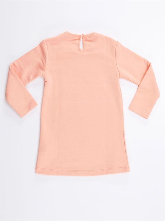 Denokids Kız Çocuk Tavşan Kulaklı Elbise CFF-21S1-005