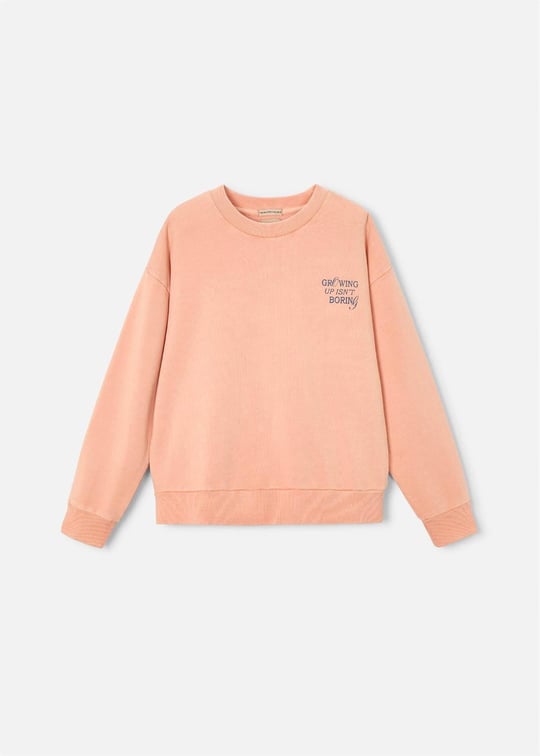 The Boston Kids Erkek Çocuk Baskılı Sweatshirt Somon 6421