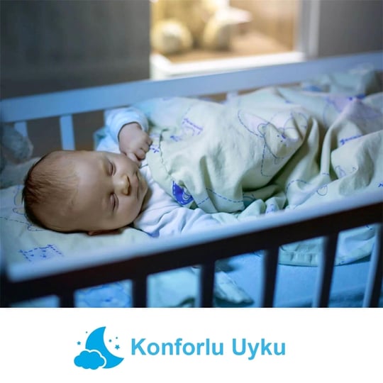 Weewell Iyonizerli Sıcak ve Soğuk Akıllı Buhar Makinesi WHC752R
