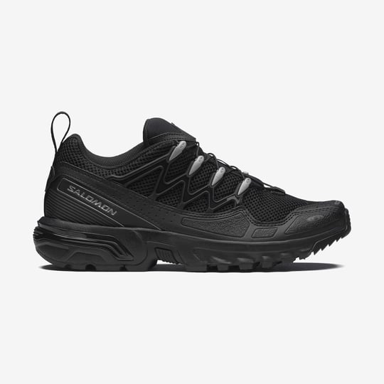 L47766600-ACS + OG