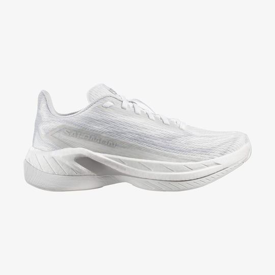 L49141500-SPECTUR 3