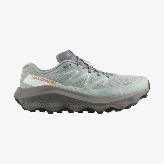 L45473900-ULTRA FLOW 2 GORE-TEX