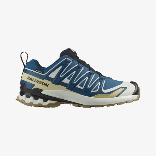 L47817400-XA PRO 3D V9 GORE-TEX