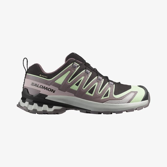 L47882300-XA PRO 3D V9 GORE-TEX