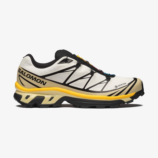 L49215700-XT-6 GORE-TEX